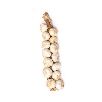 Pata de Ajo (50 cabezas)