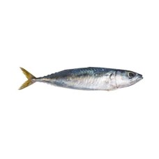 Pescado de Mar por Libra (1 lb)